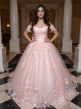 Pink Long Ball Gown Off the Shoulder Tulle Applique Lace Prom Dresses with Bow